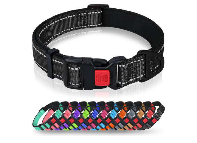 Adjustable dog collar for everyday wear