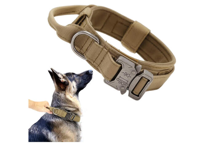 Heavy-duty dog collar for large breed dogs