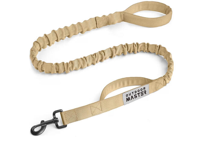 Bungee leash for walking large dogs