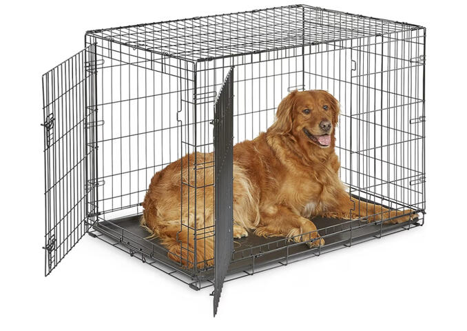 Wire dog crate for crate training