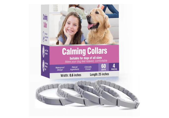 Calming collars for anxious dogs