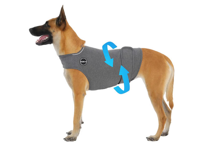 Thunder vest for dogs with anxiety