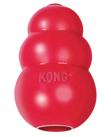 Kong toy for dog enrichment activity