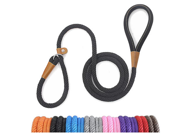 Slip lead for dog training