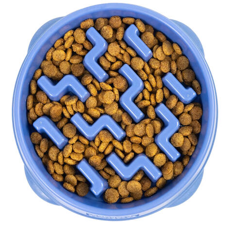 Slow feeder dog bowl for safe feeding