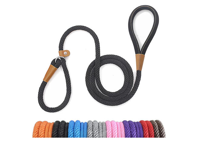 Emergency slip lead for dog walking safety